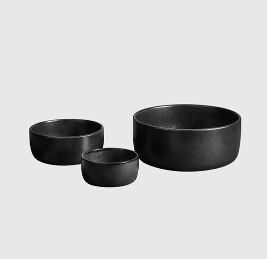 Set di 3 ciotole Raw Nordic Black