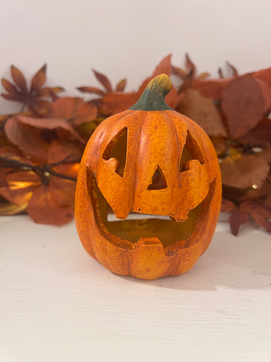 zucca led