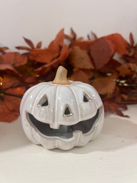 zucca led