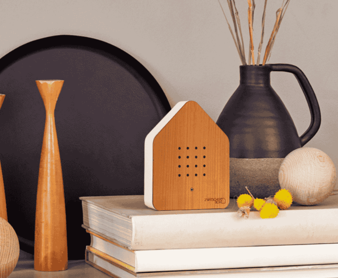 casetta sonora "uccellini"