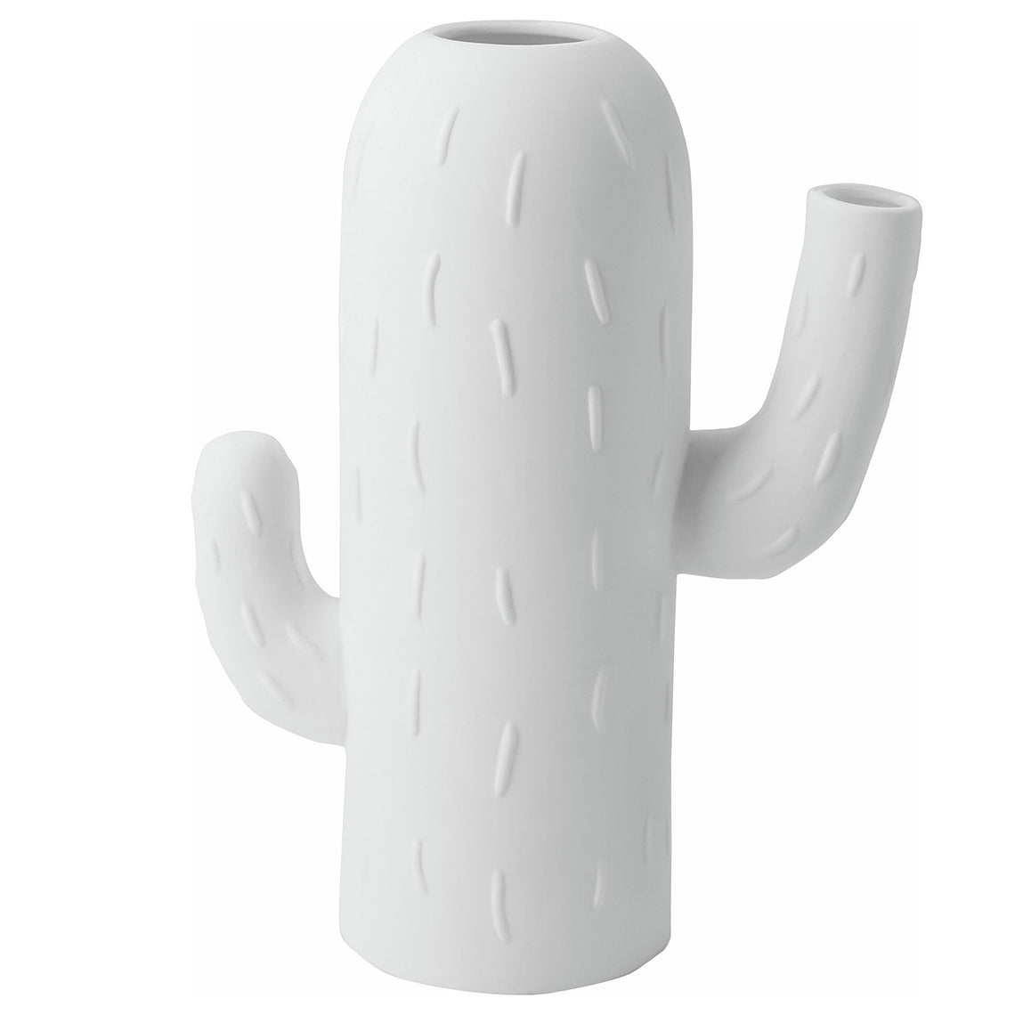 vaso cactus grande
