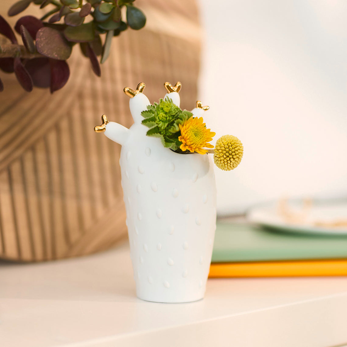 vaso cactus con fiori