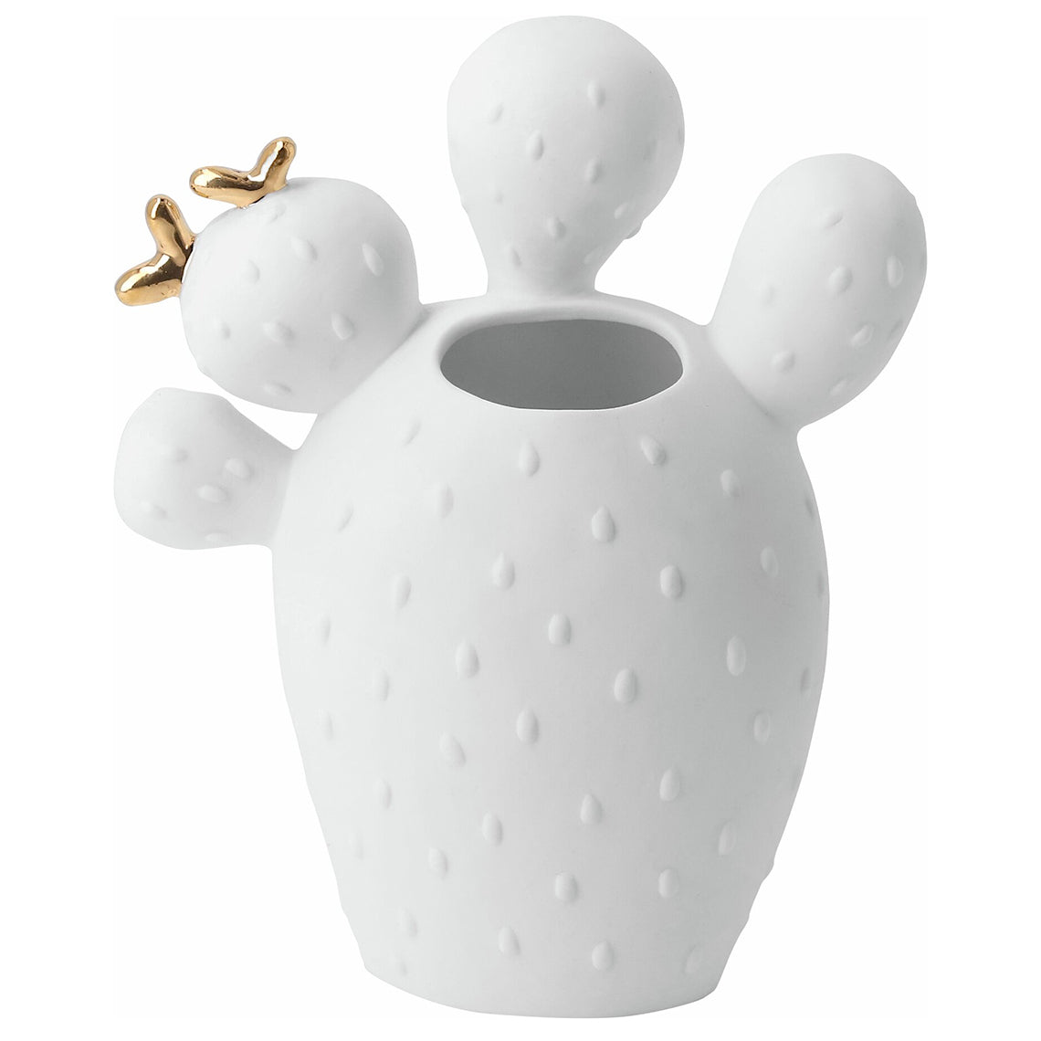 vaso cactus fico d'india